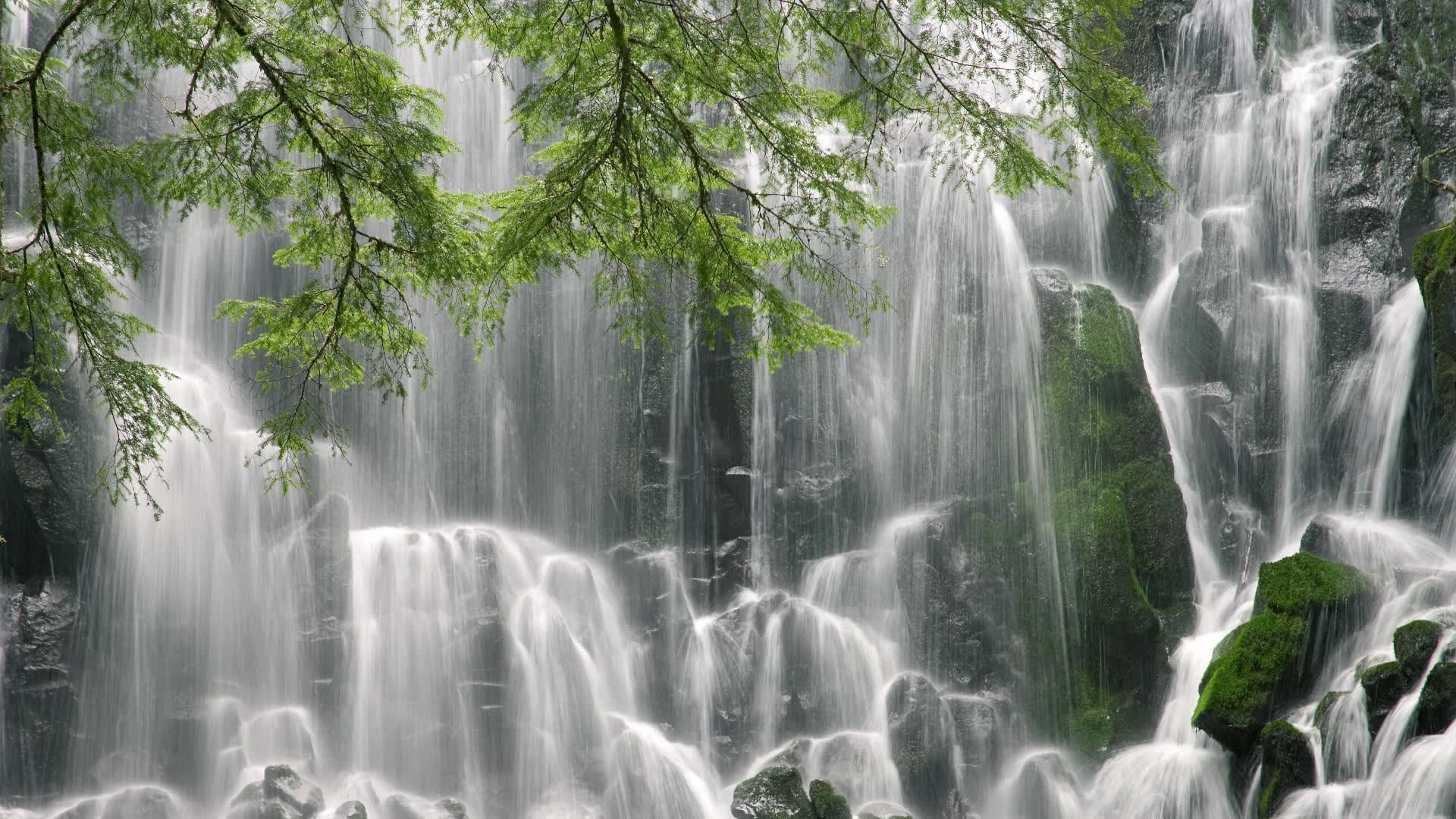 世界保龄球巡回赛城市站青少年赛事志愿者交流营启动，保龄球国际赛事